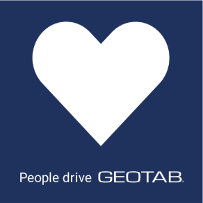 flag with check mark graphic