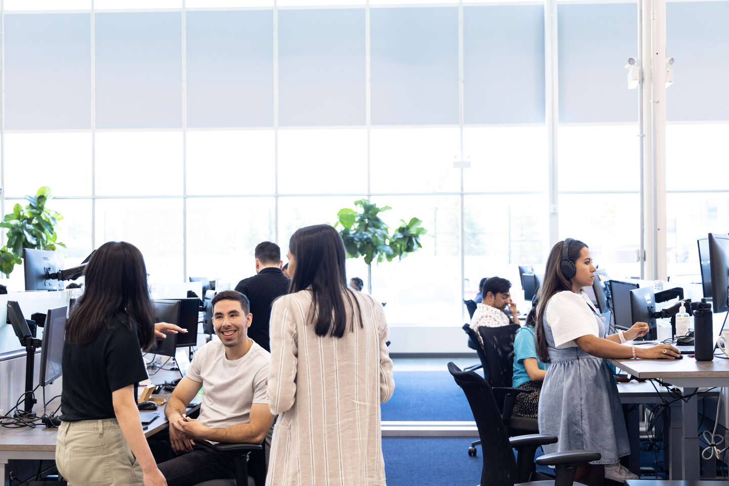 Lots of geotabbers sit at their desks and work. Several of them are standing and discussing something.